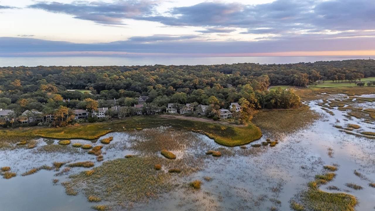 Marsh Hawk - Image 66