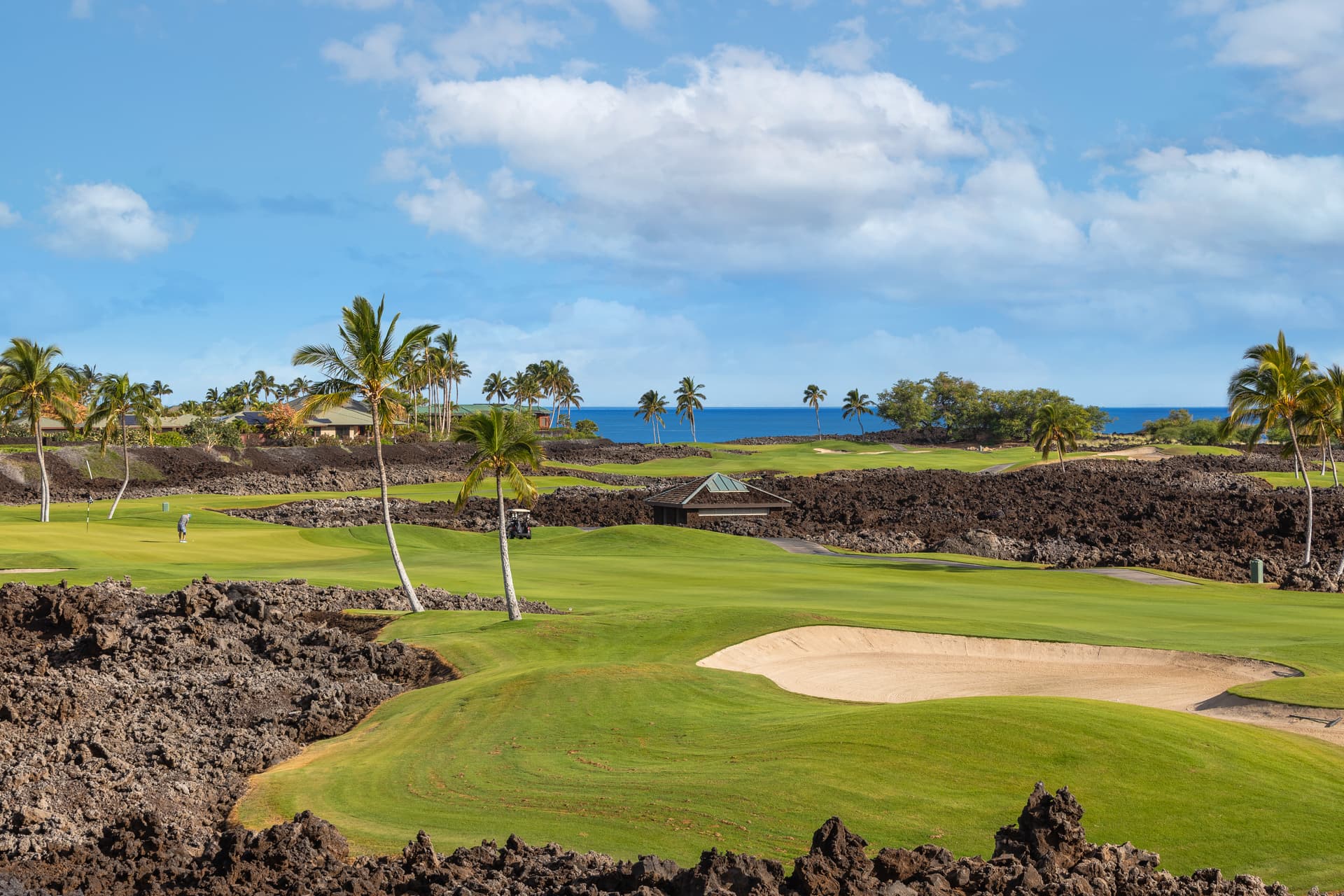 Mauna Lani Golf Estate #3 - Image 64