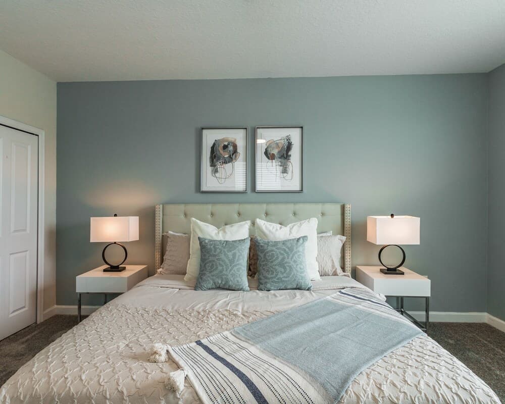 Broad Cedar - Image 18