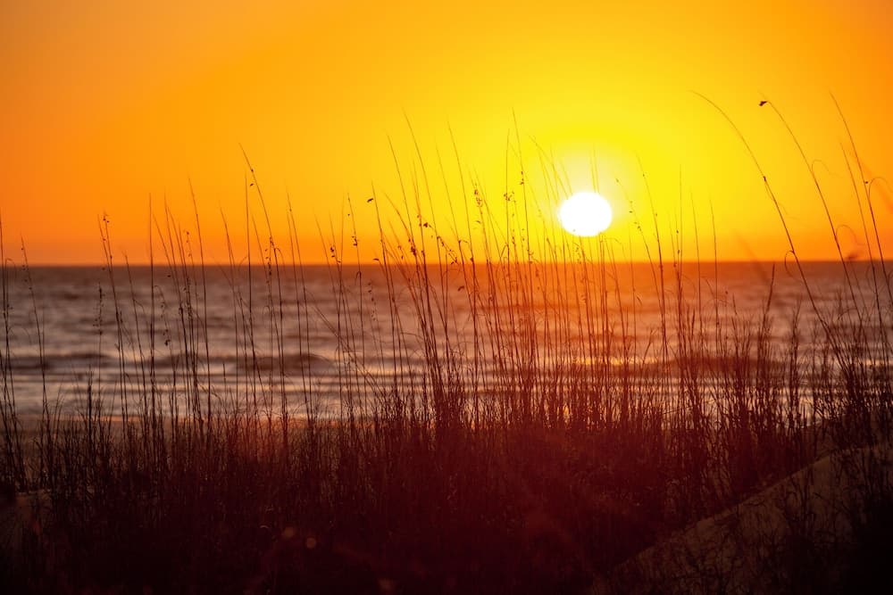 Schooner Court Villa #720 - Image 24