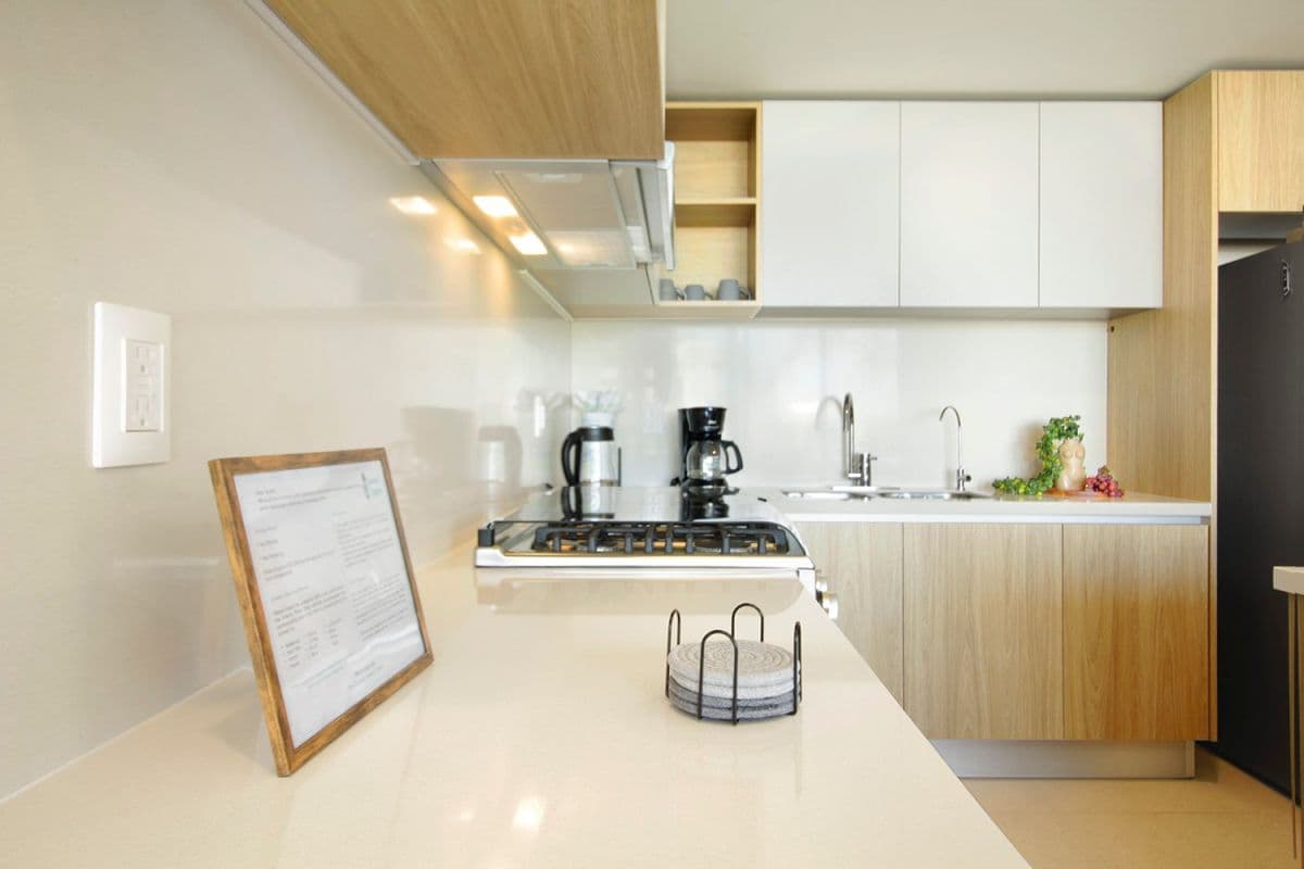 Jungle Sol - Image 10