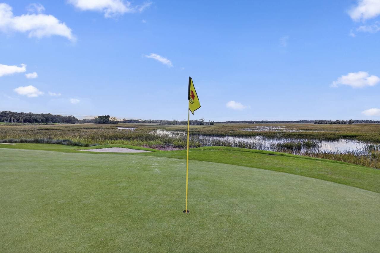 Marsh Hawk - Image 59