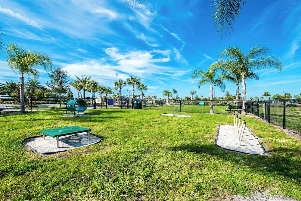 Knee Deep Haven - Image 22