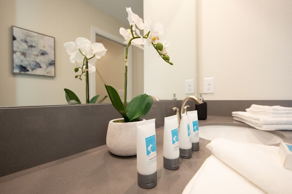 Grand Everglade - Image 25