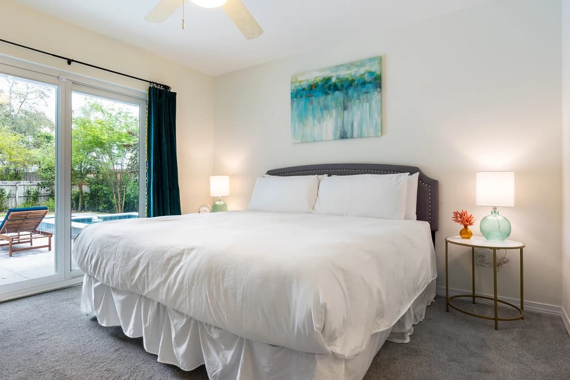 Dolphin Days - Image 14