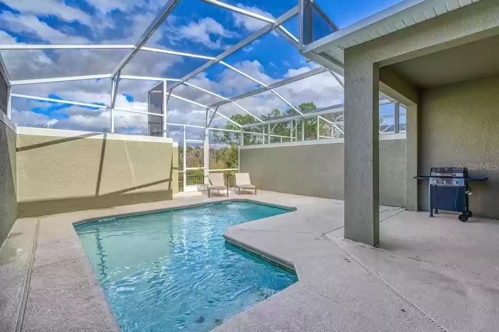 Champions Crown - Image 2