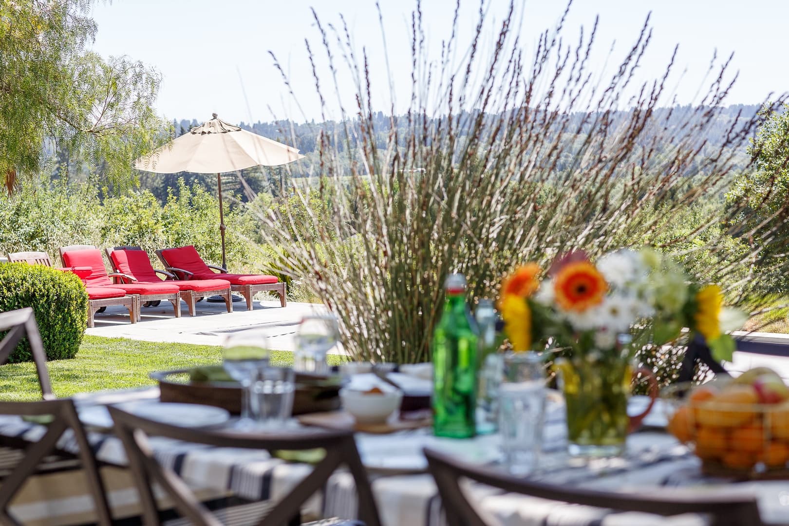 Dalya Estate - Image 58