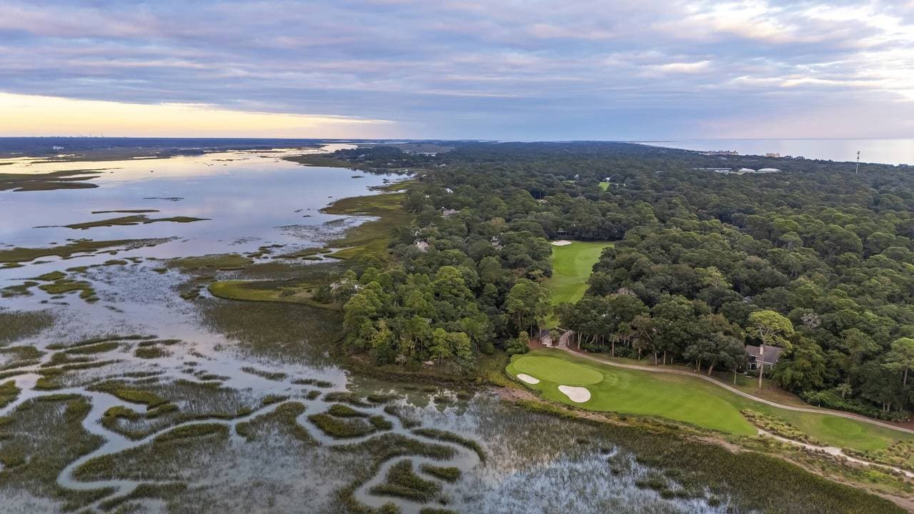 Marsh Hawk - Image 65