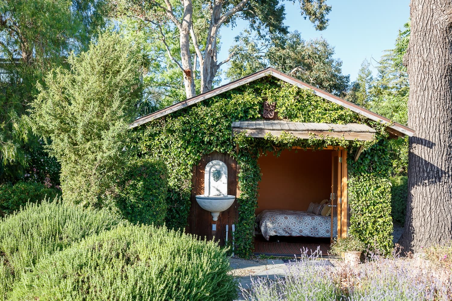 Vineyard House at Dalya Estate - Image 25