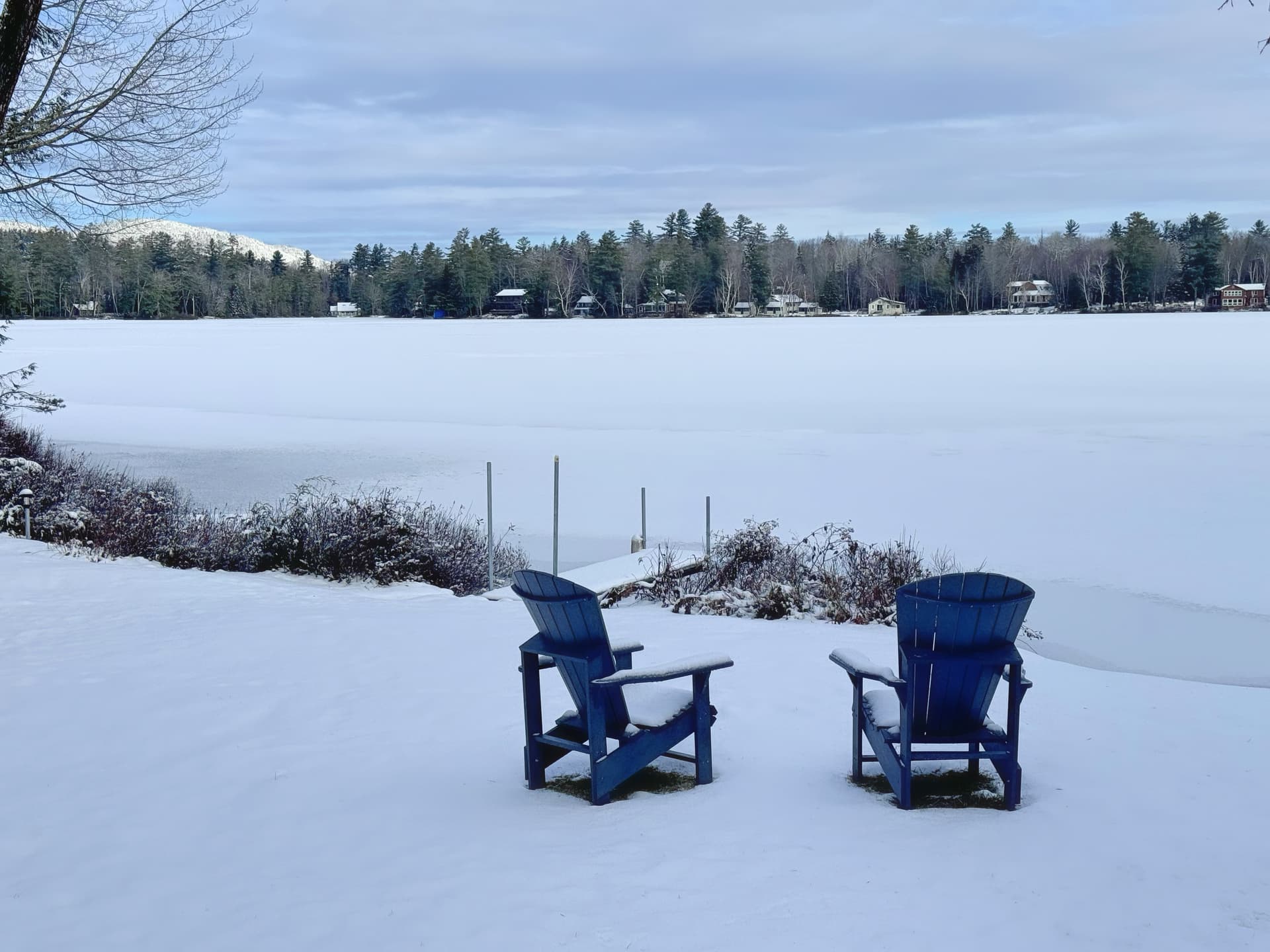 Forest Lake Oasis - Image 2