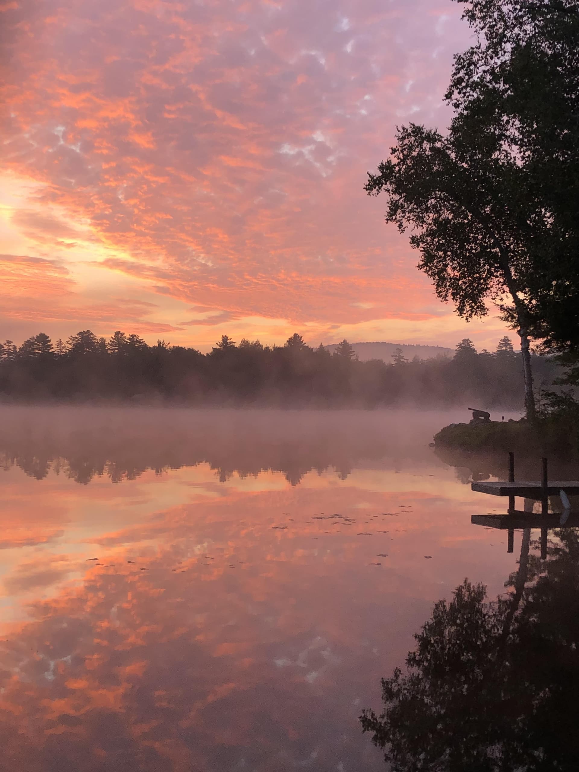 Forest Lake Oasis - Image 42