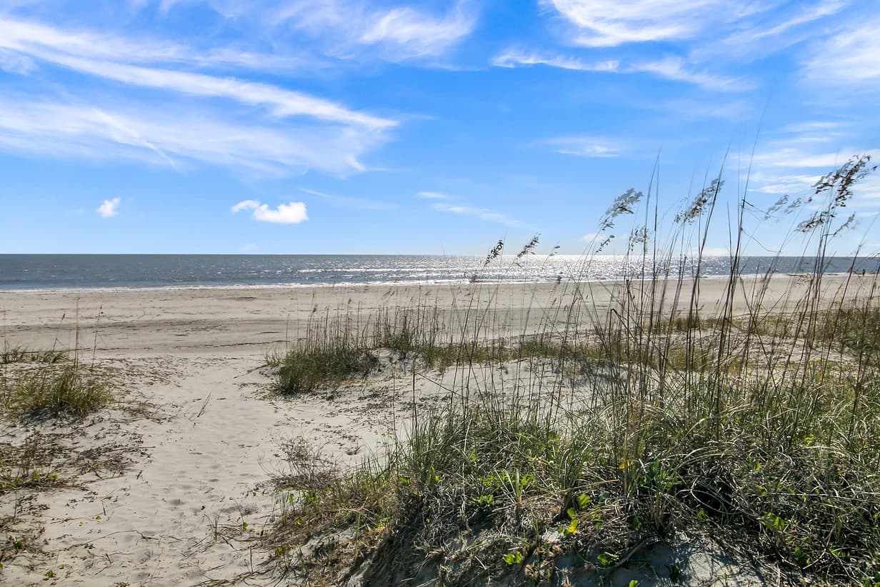 One Summer Dream - Image 3