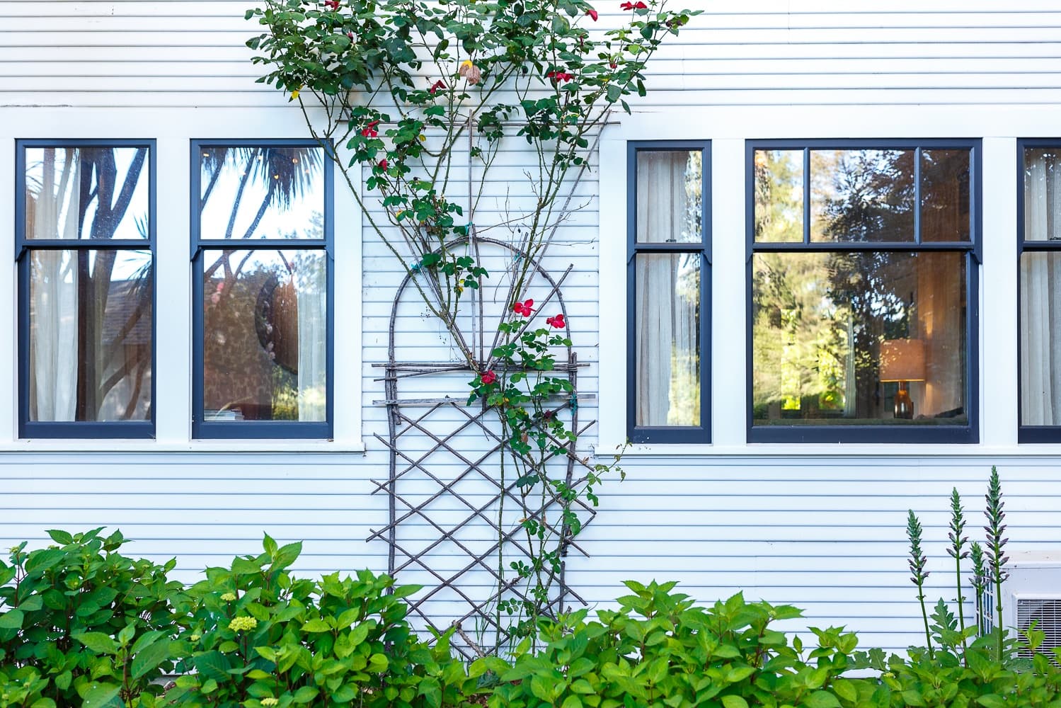 Vineyard House at Dalya Estate - Image 28