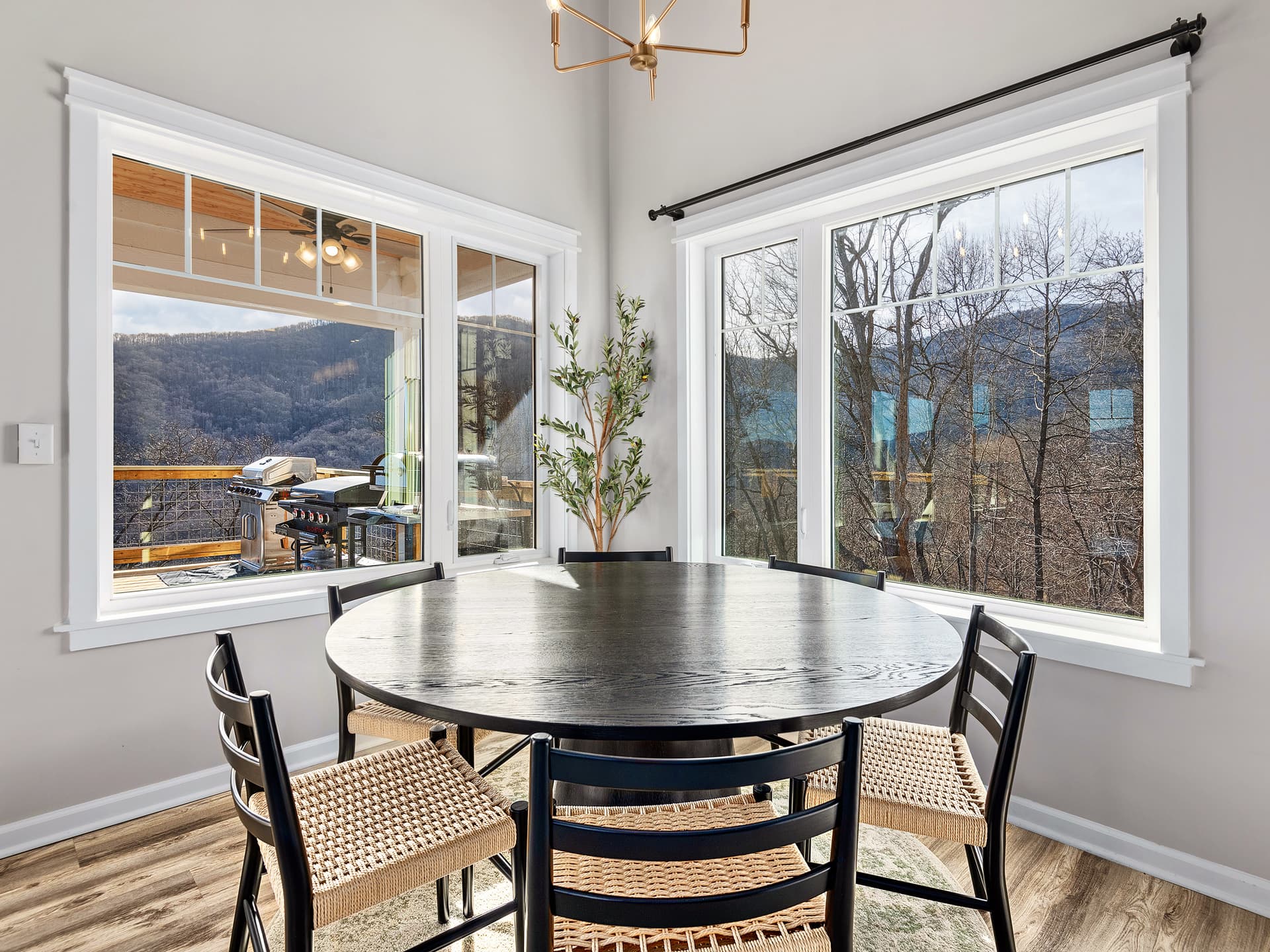 Blue Ridge Panorama - Image 14