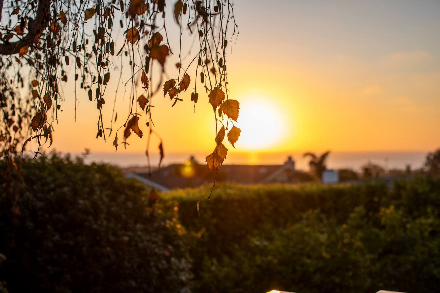 Solana House - Image 11