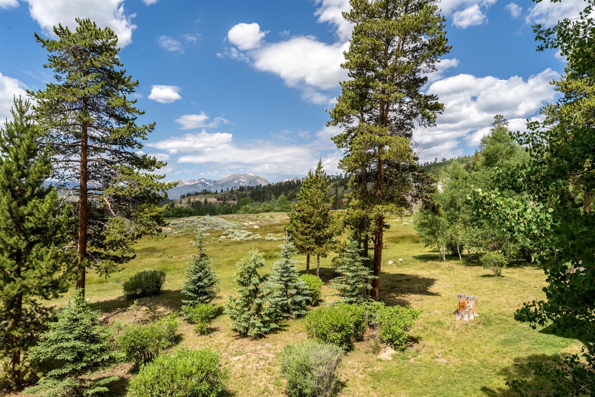 Peaceful Sanctuary - Image 29