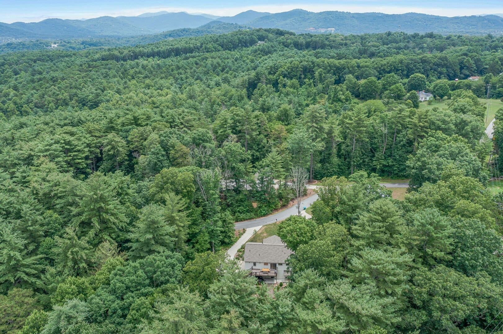 Nana's Branch - Image 31