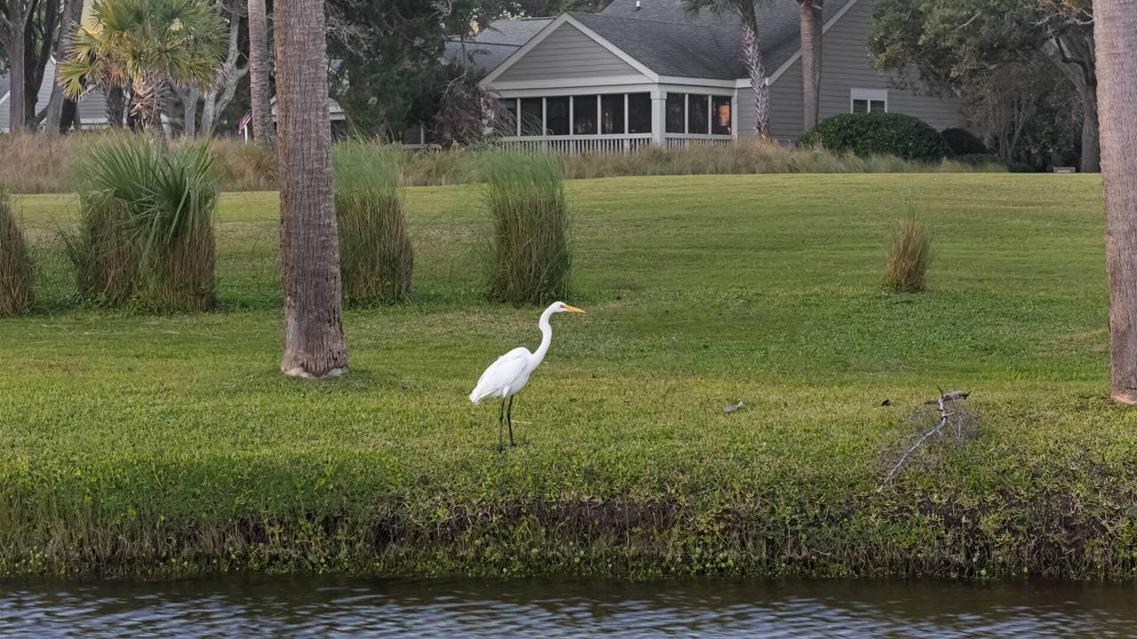 Seabrook Island Parkway #3733 - Image 65