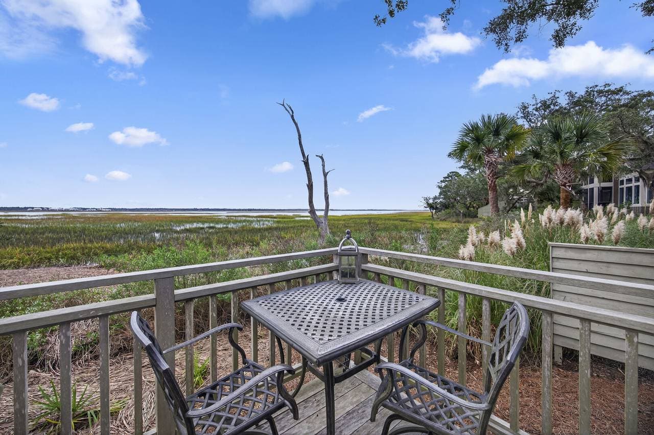 Marsh Hawk - Image 44