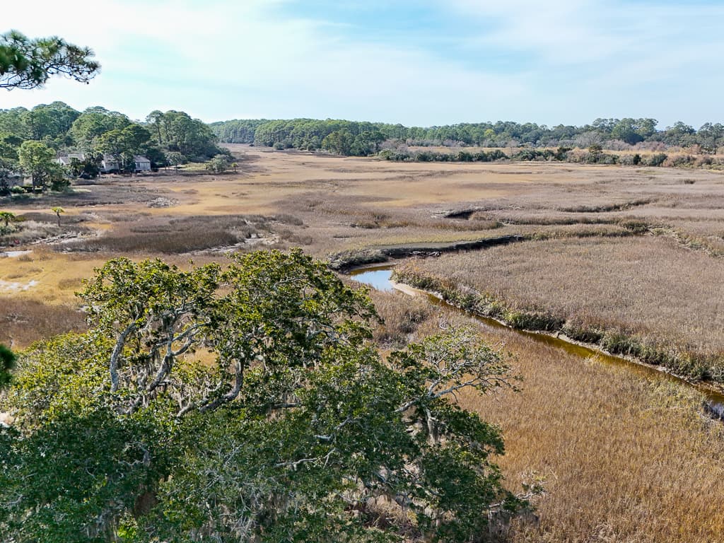 Tidal Tranquility - Image 83