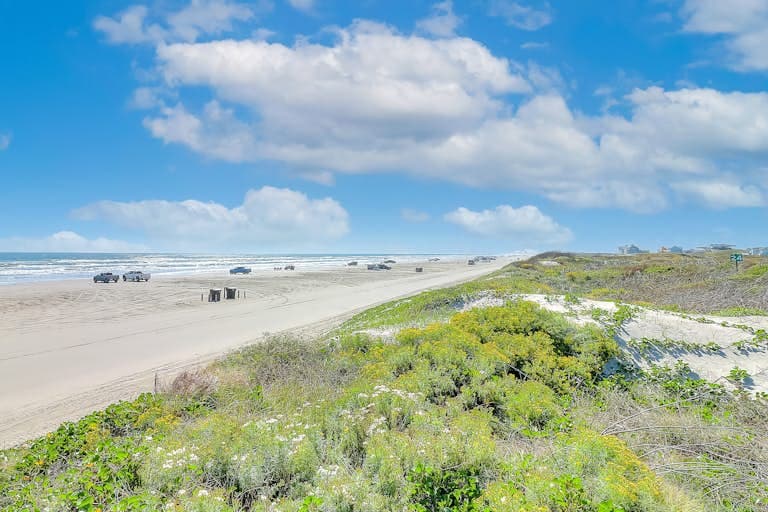 Palmilla Amore - Image 5