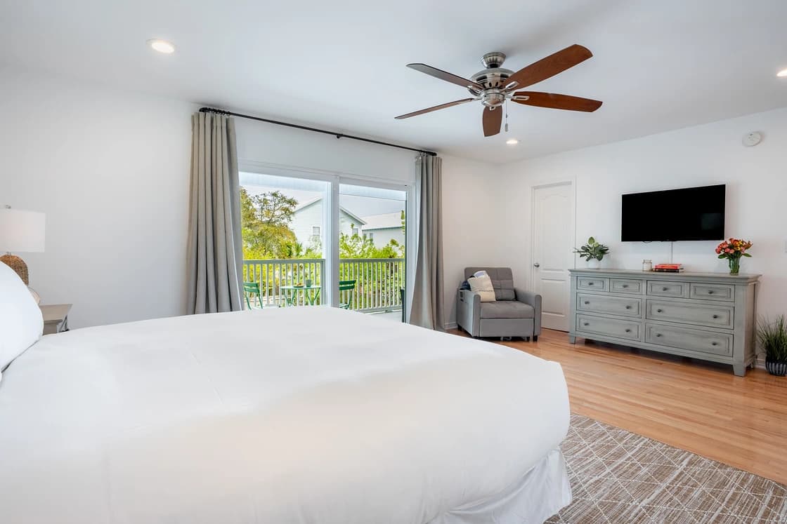 Dolphin Days - Image 12