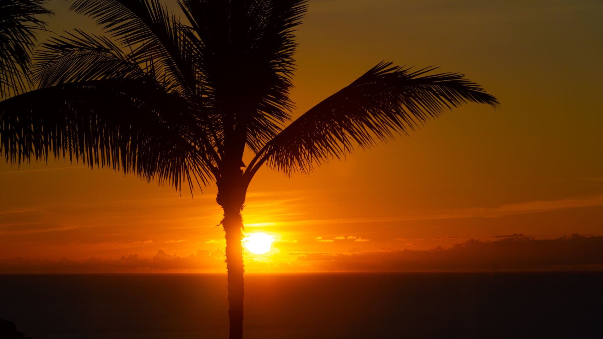 Endless Ocean Views - Image 41