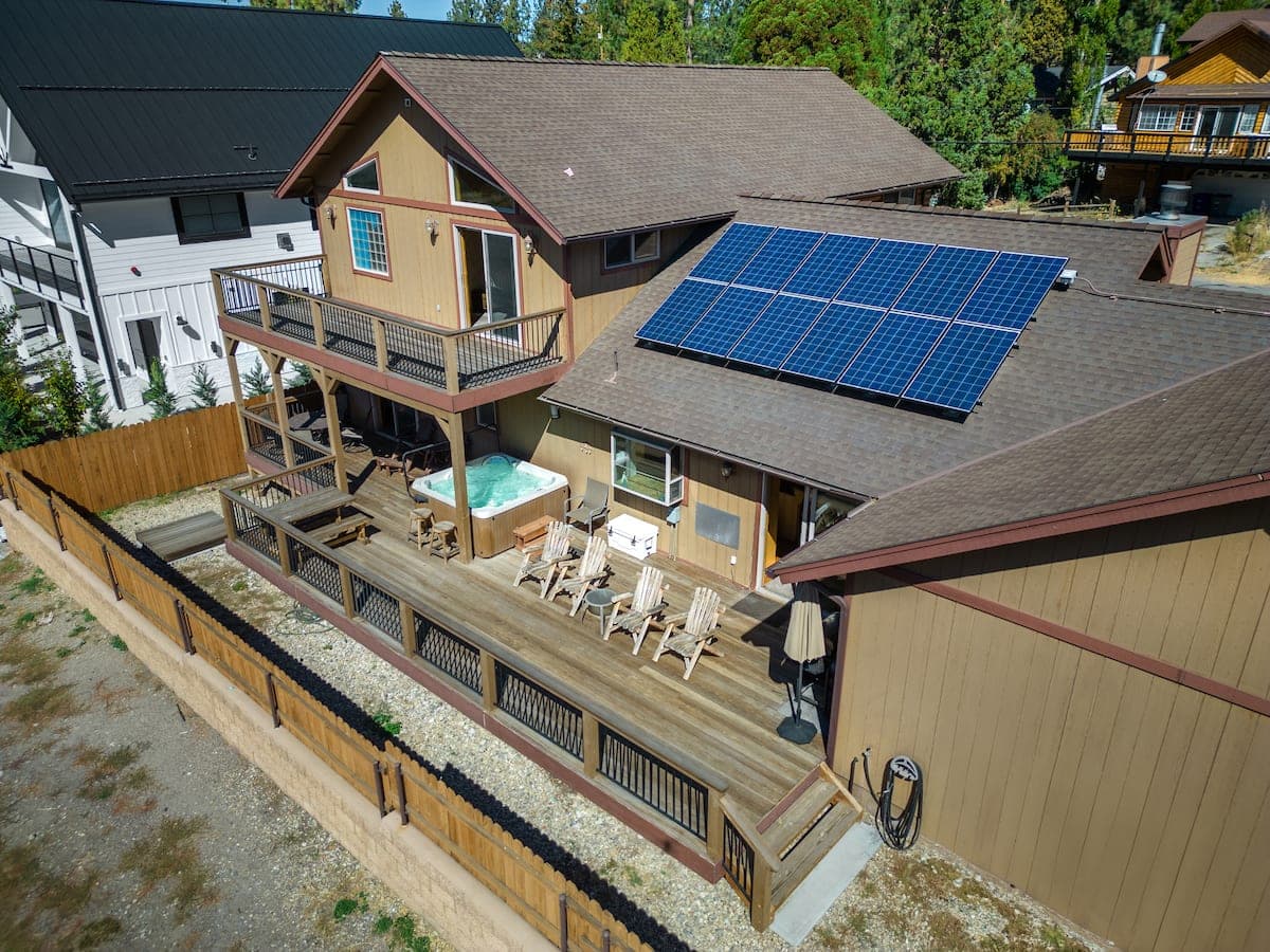 Paw Print - Image 30