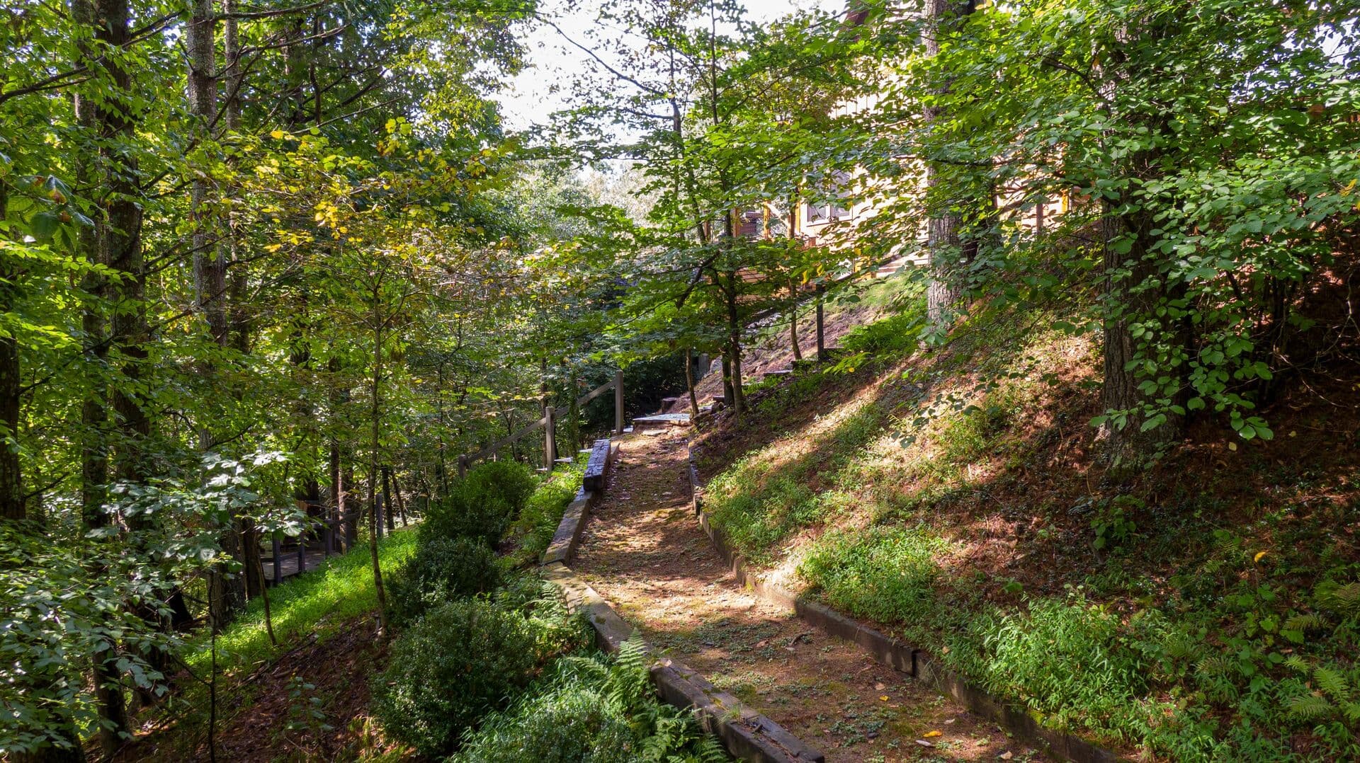 Papa's View - Image 41