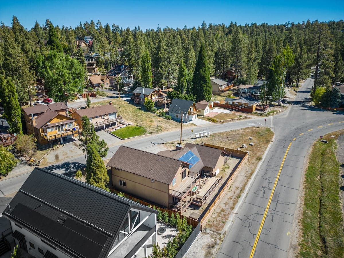 Paw Print - Image 35