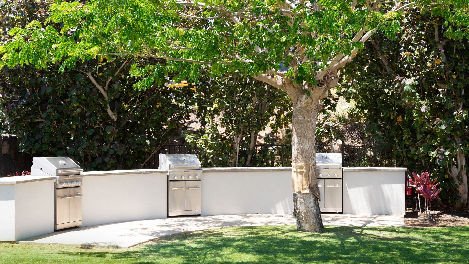 Mauna Kea Beach Escape - Image 100