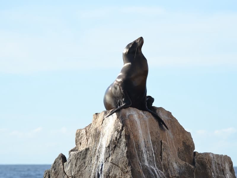 Paraiso Marina - Image 18