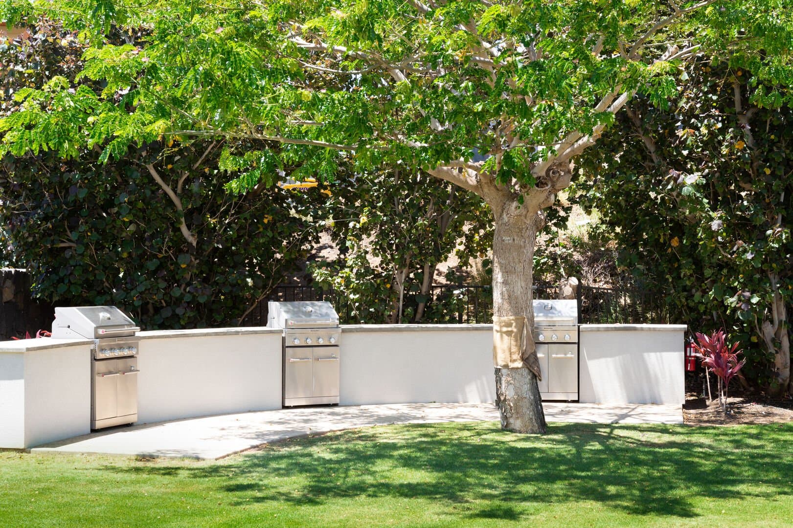 Hale Kailani - Image 68