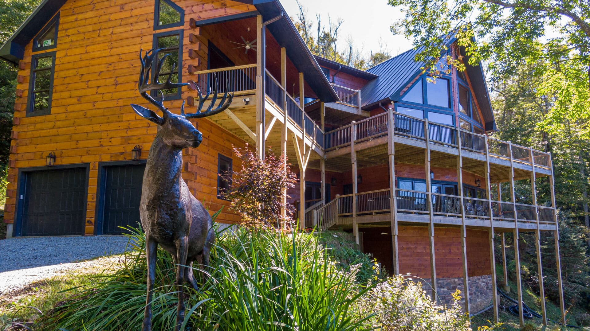 Rested Traveler - Image 46