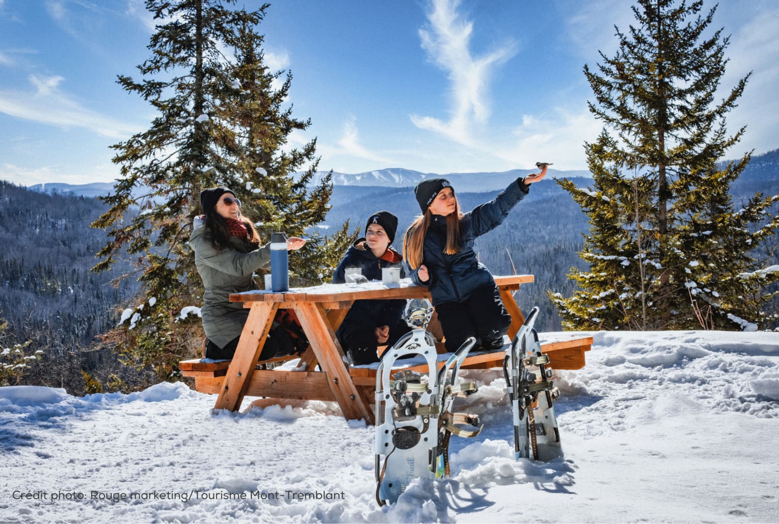 White Altitude - Image 15