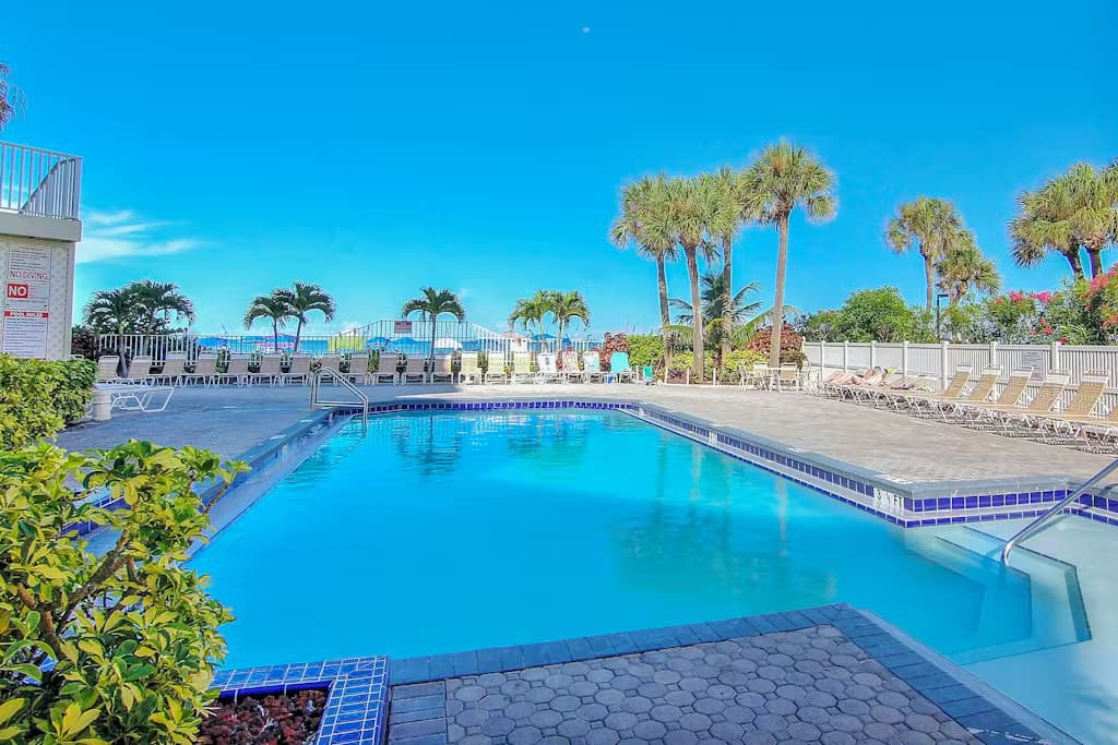 Beach Palm - Image 19