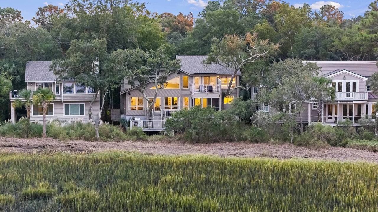 Marsh Hawk - Image 50