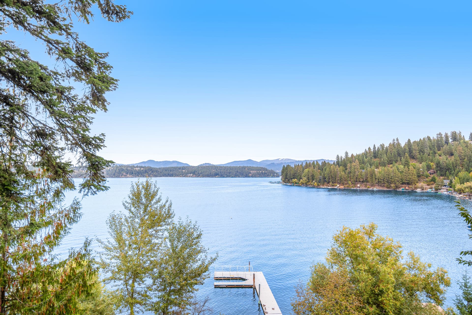 DeJa View - Image 49