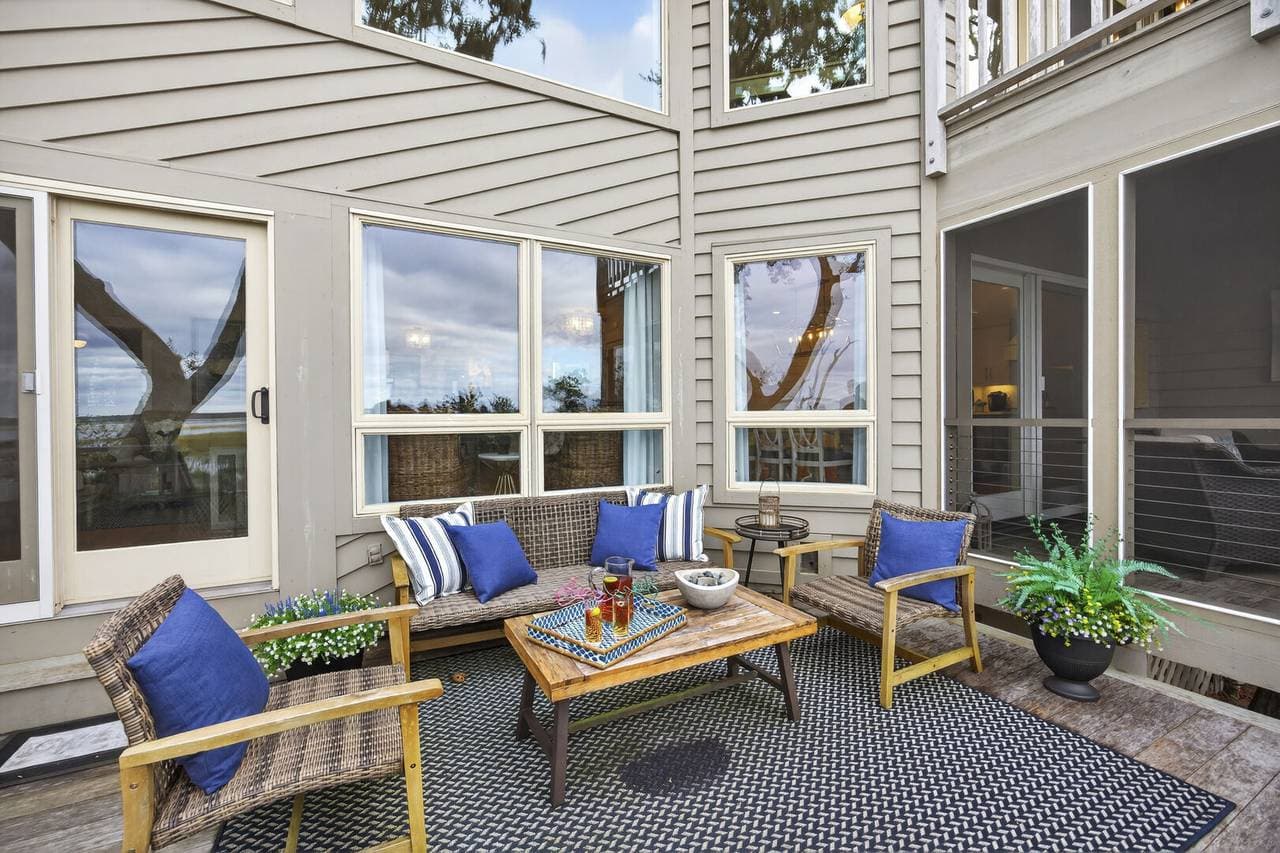 Marsh Hawk - Image 36