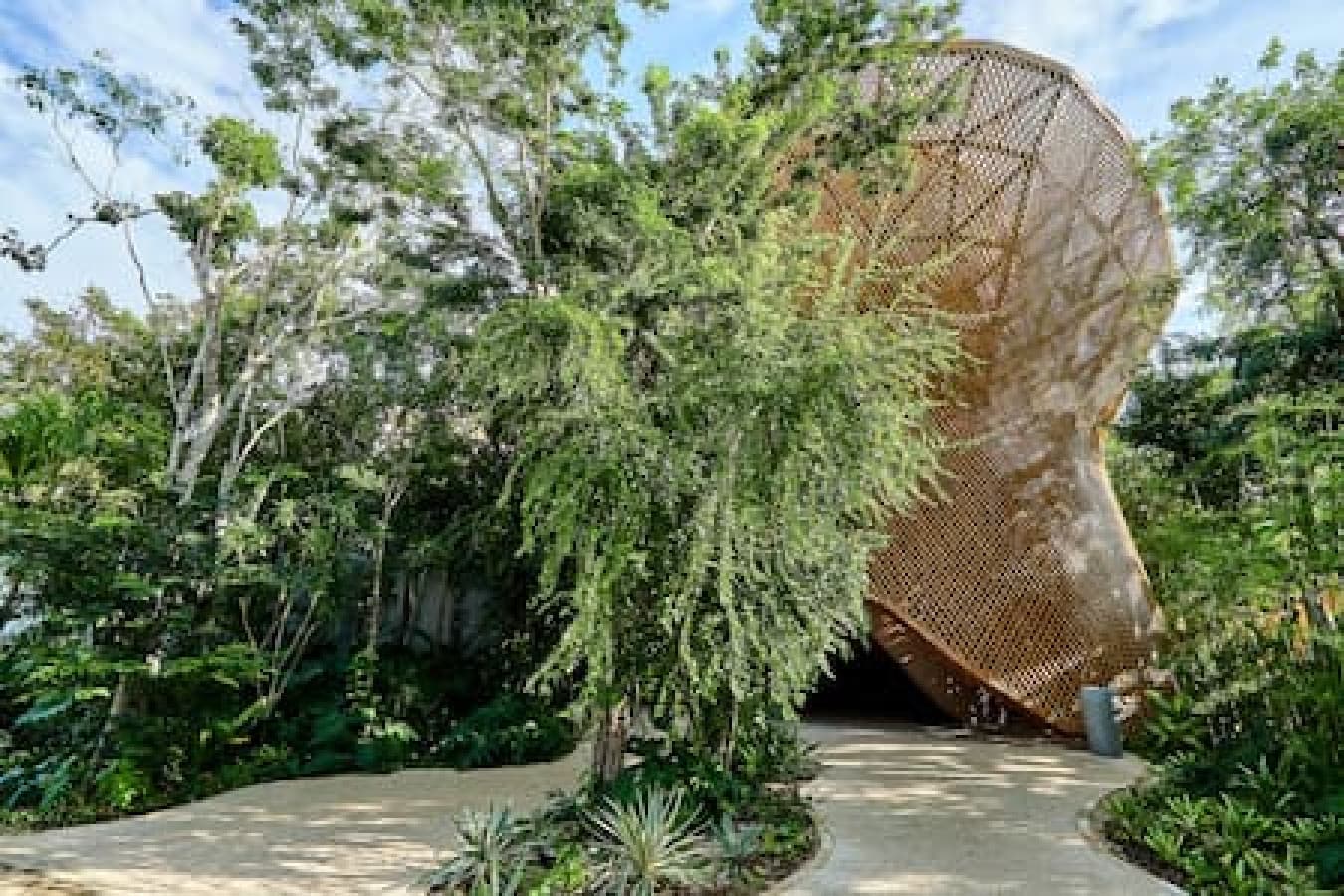 Aflora's Residence 207 - Image 13