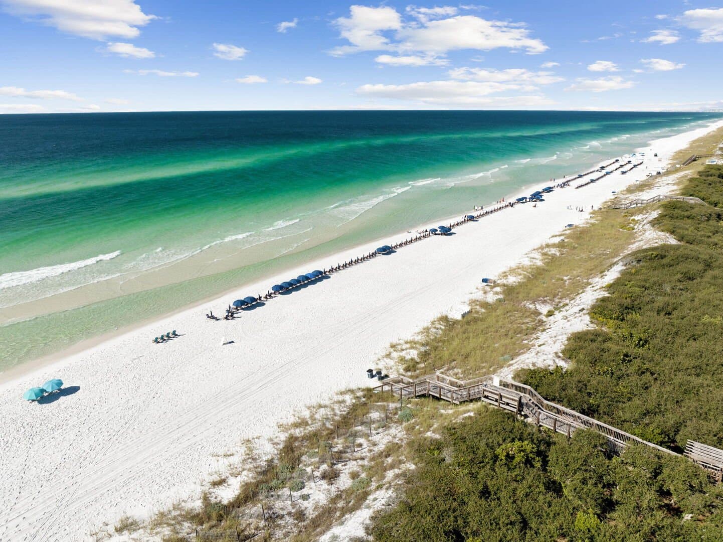 All Decked Out - Image 42