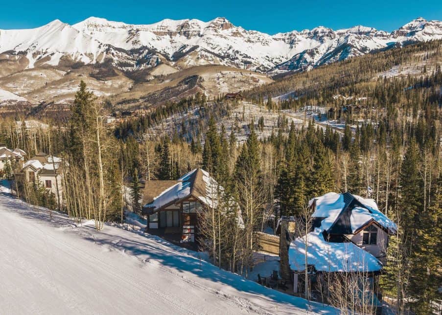 Winterleaf - Image 4