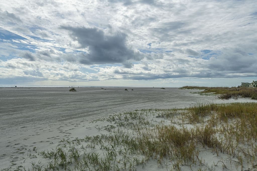 Wild Dunes Condo - Image 4