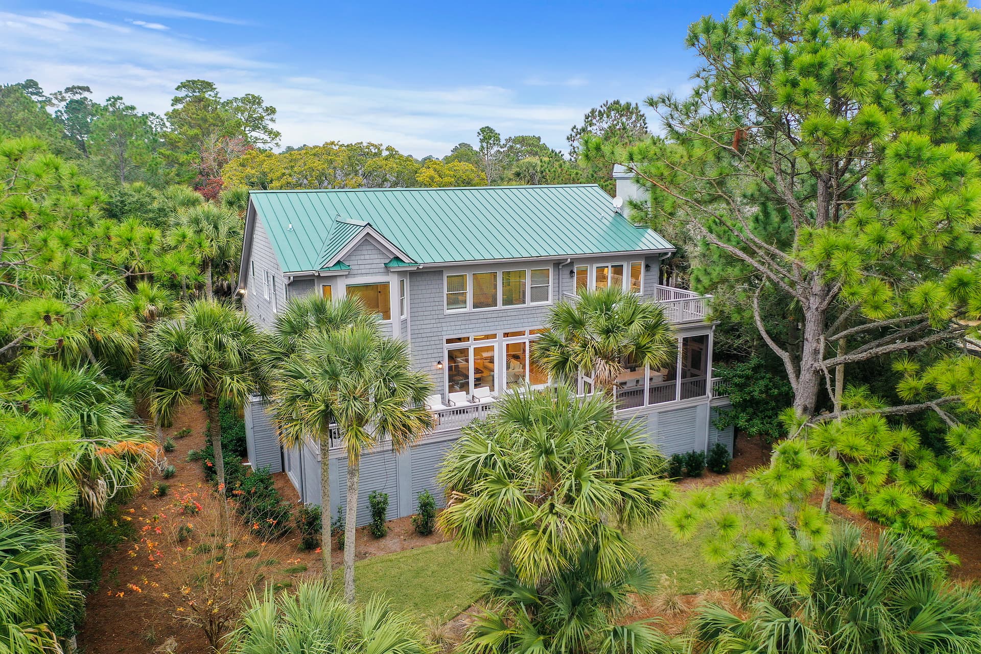 Piping Plover - Image 1