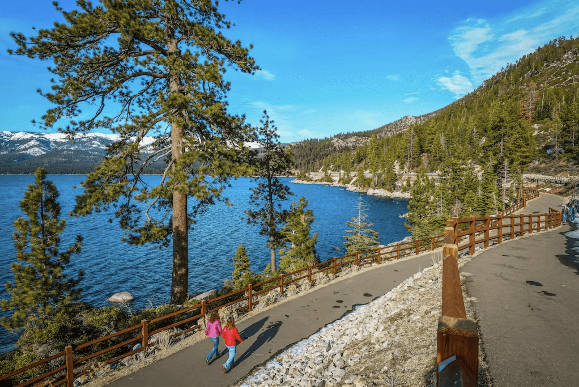 Among the Trees Home - Image 33