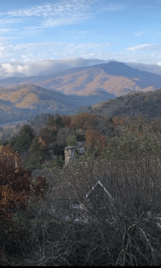 Hawthorn House - Image 16