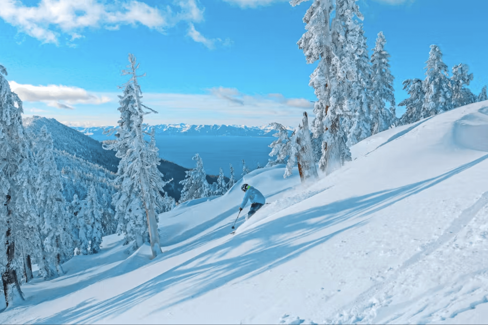 Among the Trees Home - Image 23