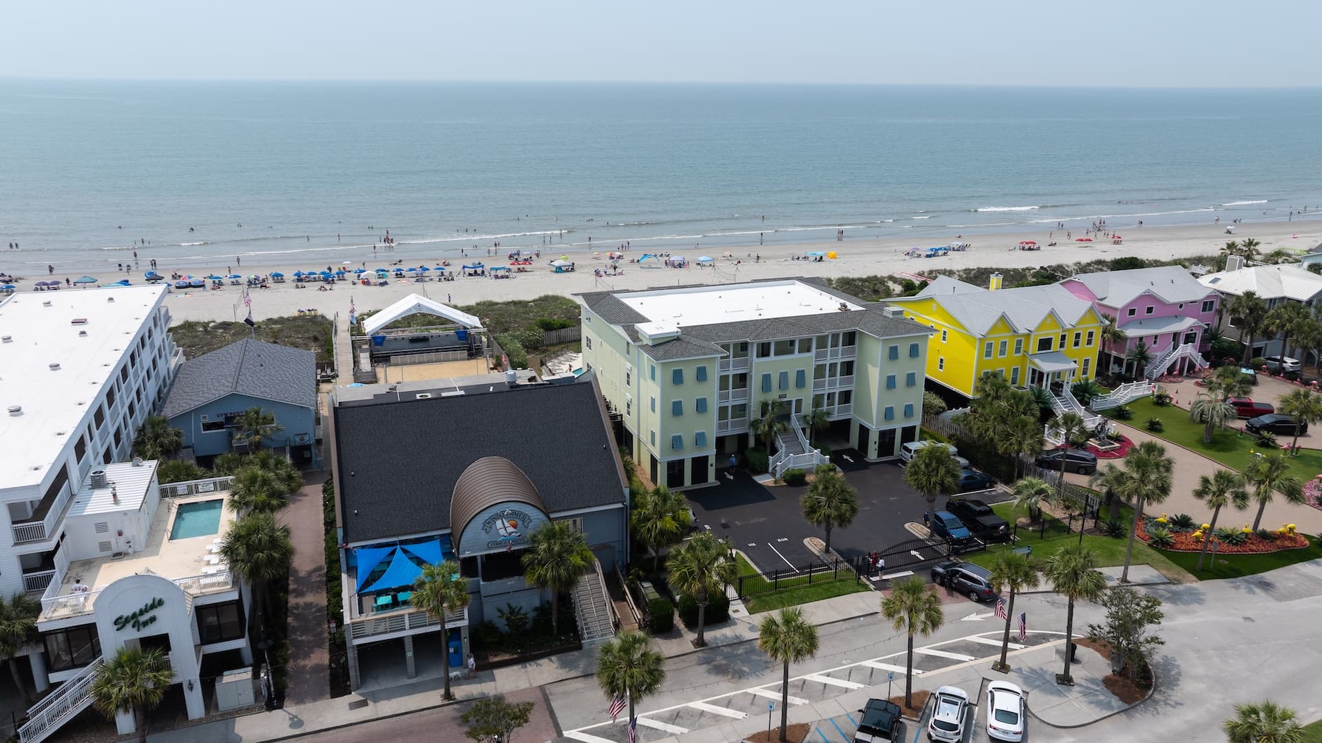 Palms Postcard - Image 39