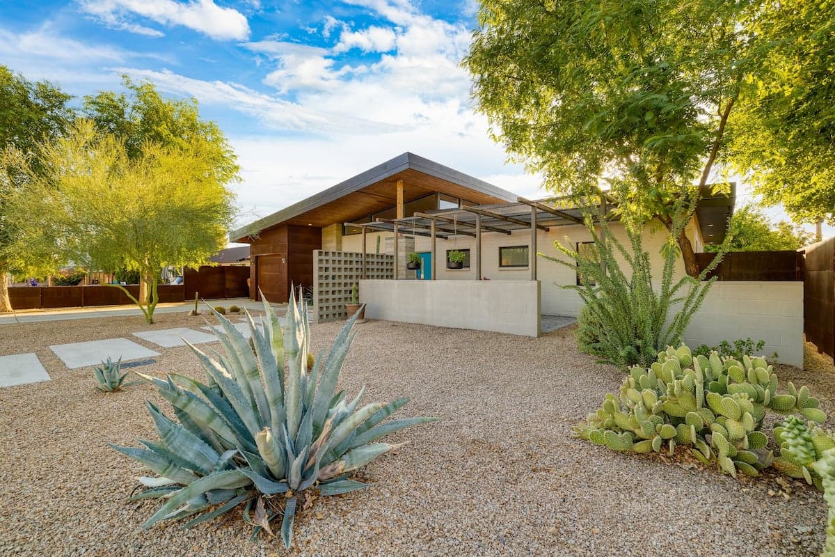 Sundrenched - Image 41