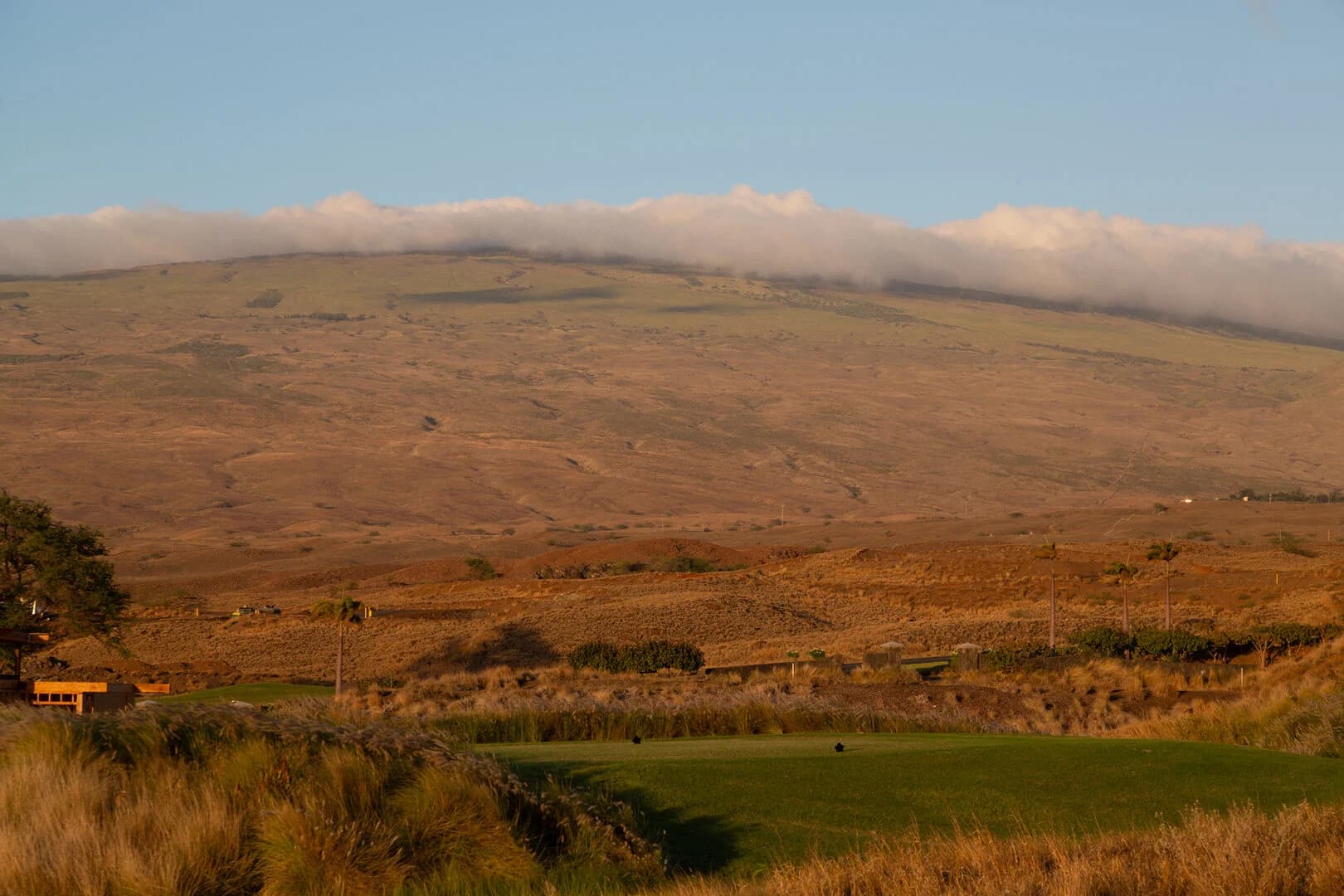 Hale Kailani - Image 101